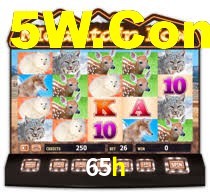 65h cassino